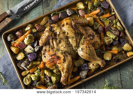Herbed Baked Spatchcock Chicken