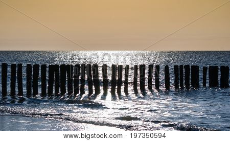 breakwater at cadzand beach at sundown north sea netherlands