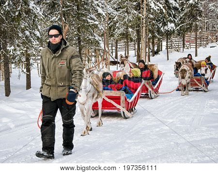 Reindeer Sled Caravan Safari With People Forest Lapland Northern Finland