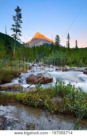 Last Light on Mount Weed, Banff, National Park, Alberta, Canada with a creek and wild flowers in the foreground