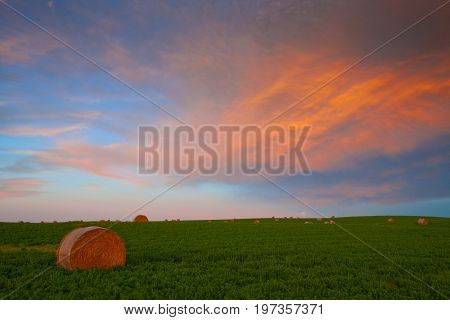 Hay bales in the field at sunset in southern Alberta, Canada