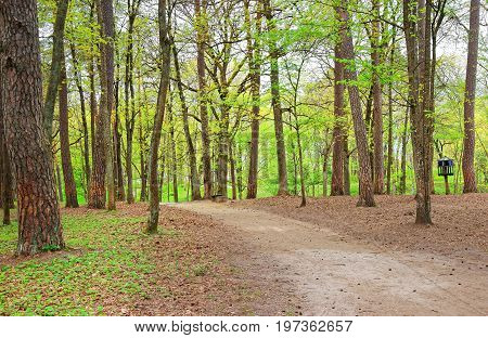 Pathway In Traku Voke Public Park In Vilnius Baltic