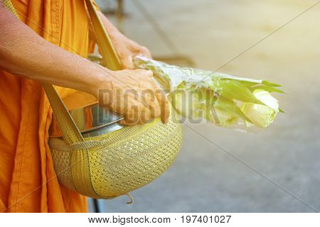 In Morning Monk walk to be given food and lotus from Buddhist for continuing Buddhism. Good look in Thai.