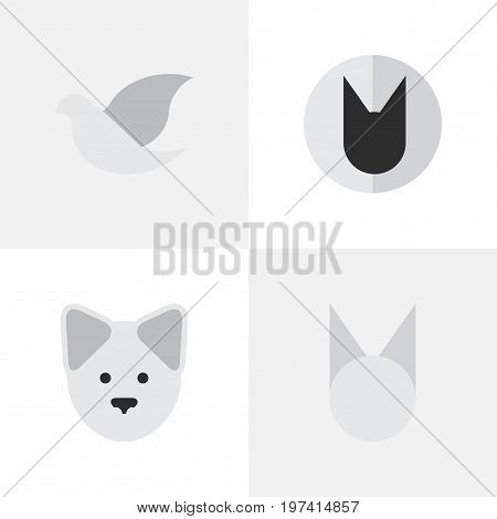 Elements Tomcat, Pigeon, Cat And Other Synonyms Cute, Dove And Bird.  Vector Illustration Set Of Simple Wild Icons.