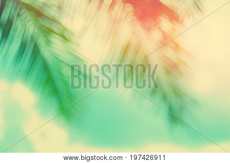 Copy Space Of Blur Palm Leaf On Blue Sky And White Clouds With Bokeh Sun Ligth Abstract Texture Back