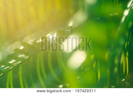 Copy Space Of Blur Palm Leaf On Blue Sky And White Clouds With Bokeh Sun Ligth Abstract Texture Back