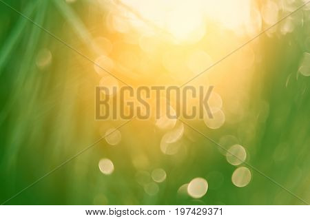 Copy Space Of Blur Palm Leaf On Blue Sky And White Clouds With Bokeh Sun Ligth Abstract Texture Back