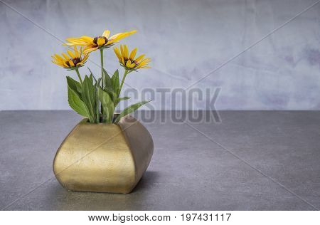 Yelow echinocea in the vase on the table on grungy background