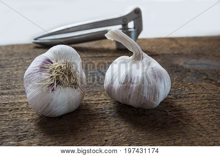 Healthy purple garlic on the wood with the chopper