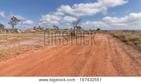 On the road. Serra da Canastra National Park is a national park in the Canastra Mountains of the state of Minas Gerais Brazil.