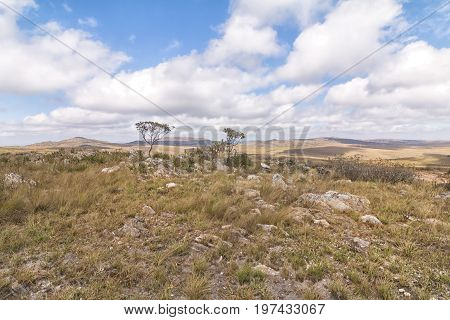 The colorful Serra da Canastra. Serra da Canastra National Park is a national park in the Canastra Mountains of the state of Minas Gerais Brazil.