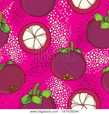 Vector seamless pattern with outline Purple Mangosteen or Garcinia mangosteen fruit on the pink background. Fruit pattern with Asian tropical plant in contour style for exotic summer design.