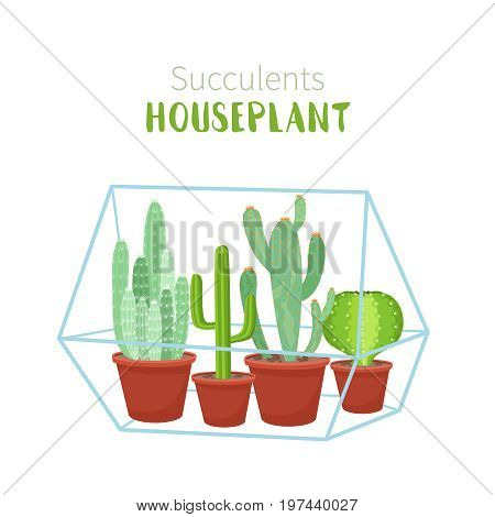 Geometric florarium with cactus and succulents set. Vector illustration isolated on white background.