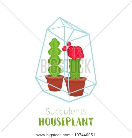 Geometric florarium with cactus and succulents set. Vector illustration isolated on white background.
