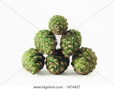 Green Pine Cones