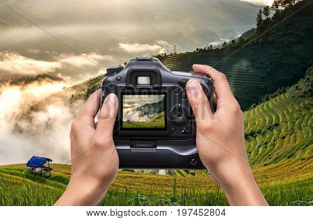 Hands holding the camera which taking photo of Rice fields on terraced of Mu Cang Chai District at sunrise time YenBai province Northwest Vietnam worm tone