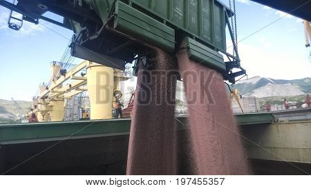 The Precipitation Of Grain From The Car Into The Hold Of The Tanker. Grain Filling Of The Cargo Comp