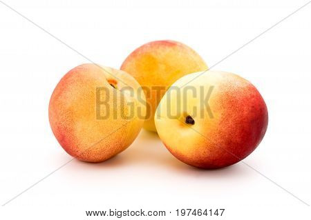 Ripe Apricot On White Background