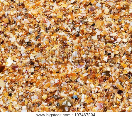 Wet multicolor sand on beach in sunny summer day. View from above. Nature background.