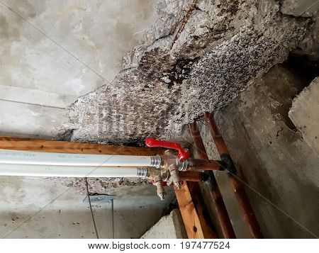Rainwater leakege damaged concrete. Severe case of structure degradation and safety problem.