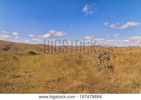 Plateau on Serra da Canastra. Serra da Canastra National Park is a national park in the Canastra Mountains of the state of Minas Gerais Brazil.