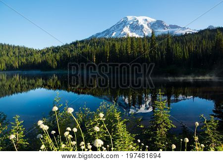 Summer morning on Mt. Rainier Reflection lake