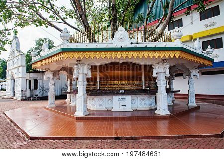 Bo Tree in Dambulla Sri Lanka Golden Temple . Donation box.