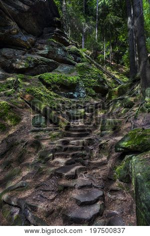 Stone stairs in the woods. The Path to the Dolsky mill. Old stone stairs in forest up. Nature outdoors. Nature sunlit with sunshine.