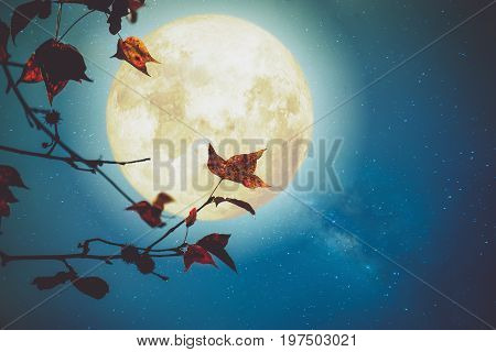 Beautiful autumn fantasy - maple tree in fall season and full moon with milky way star in night skies background. Retro style artwork with vintage color tone