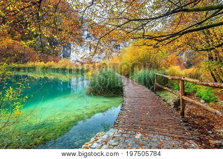 Wonderful touristic wooden pathway in the colorful deep forest with clean lake Plitvice National Park Croatia Europe