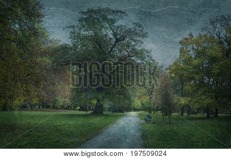 Park in fall on grungy background and paper border