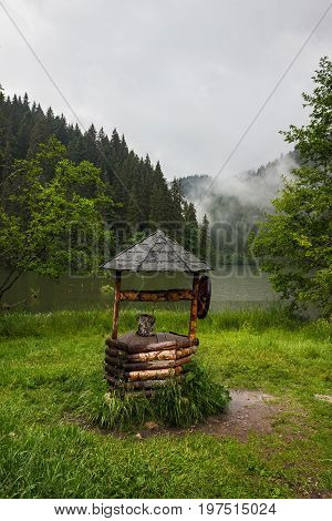 Old wooden well in shore of Lacu Rosu or Red lake in cloudy rainy weather Eastern Carpathians Romania.