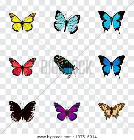 Realistic Common Blue, Papilio Ulysses, Archippus And Other Vector Elements