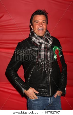 LOS ANGELES - NOV 28:  Michel Maloney arrives at the 2010 Hollywood Christmas Parade at Hollywood Boulevard on November 28, 2010 in Los Angeles, CA