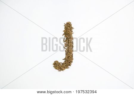 Written letters with carum carvi on white background