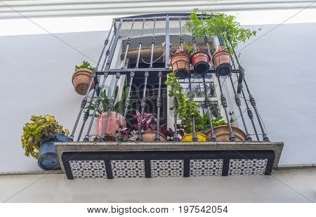 Old town balcony at Badajoz. Full of flowerspots Spain