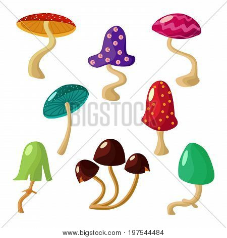 Collection of vector cartoon mushrooms illustration. Different toadstools isolated over white background for you design.
