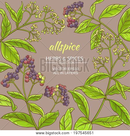 allspice branches vector frame on color background