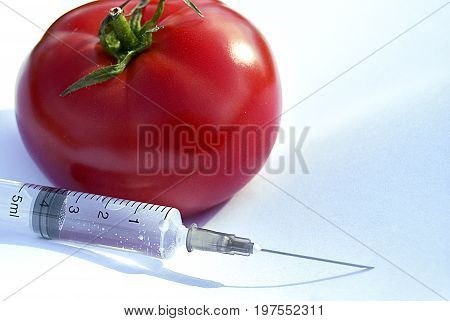 Genetic modification of tomatoes. Fresh, juicy tomatoes with syringe.