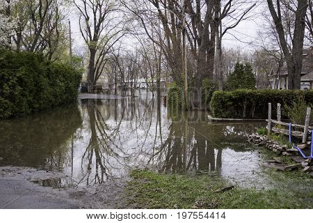 Close up landscape view of flood waters rising over a paved road in front of properties with trees foliage and the houses partly submerged in the distance in the West Island of Montreal, Quebec on a bright overcast day in May.