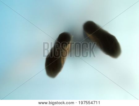 Man standing on a glass floor - view from below