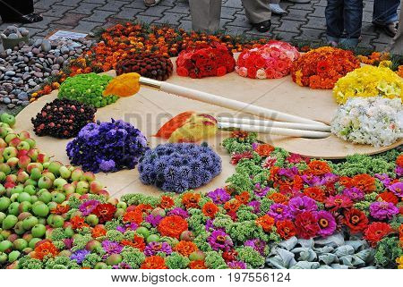 Decorative setting of flowers and plants - flowerbed