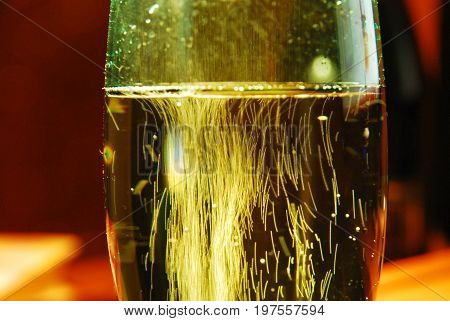 Glass of sparkling wine / Champagne - bubbly