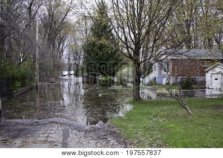 Landscape view of flood waters rising over a paved road with trees foliage and a house partly submerged in the West Island of Montreal, Quebec on a bright overcast day in May.