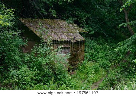 Old brick hut in a green forest