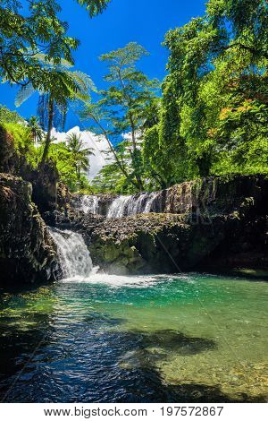 Vibrant Togitogiga falls with swimming hole on Upolu, Samoa Islands