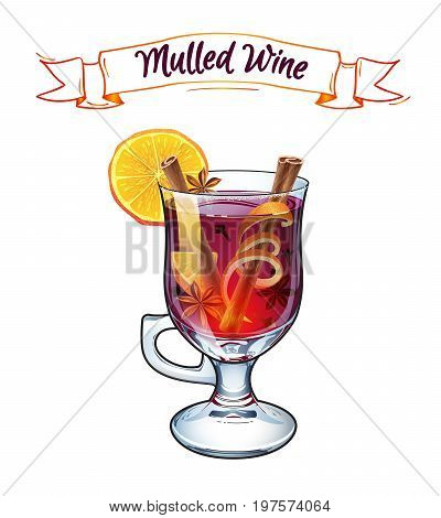 Mulled wine. Autumn drink. Christmas holiday alcoholic cocktail. Vector EPS10 . Colorful realistic hand drawn illustration. Selected ingredients. Anise star, cinnamon sticks, orange, wine and cloves