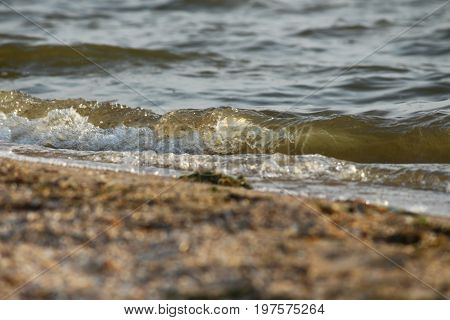 Wave rolling on the sandy shore of the Black Sea, Southern Ukraine