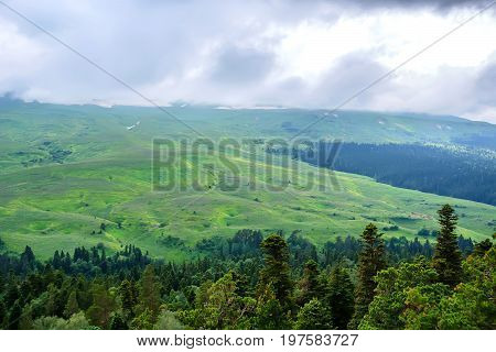 Landscape of subalpine mountain meadow and forest in Caucasus, Russia