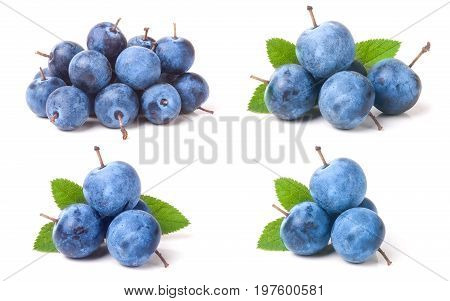fresh blackthorn berries with leaves isolated on white background. Set or collection.